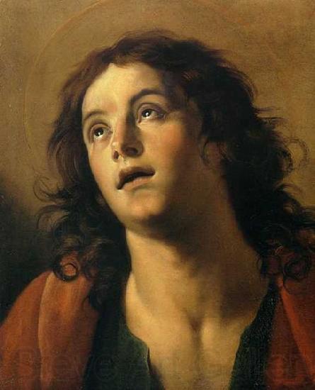 Giuseppe Vermiglio Painting of John the Baptist France oil painting art